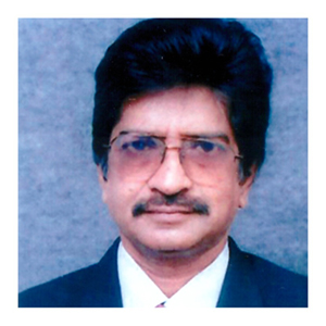 Lion Mohamed Amiruddin A